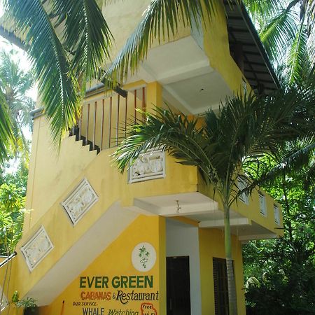 Ever Green มิริสซา ภายนอก รูปภาพ