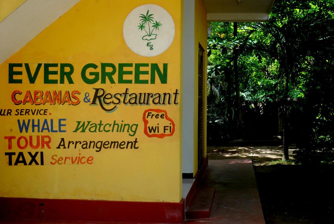 Ever Green มิริสซา ภายนอก รูปภาพ
