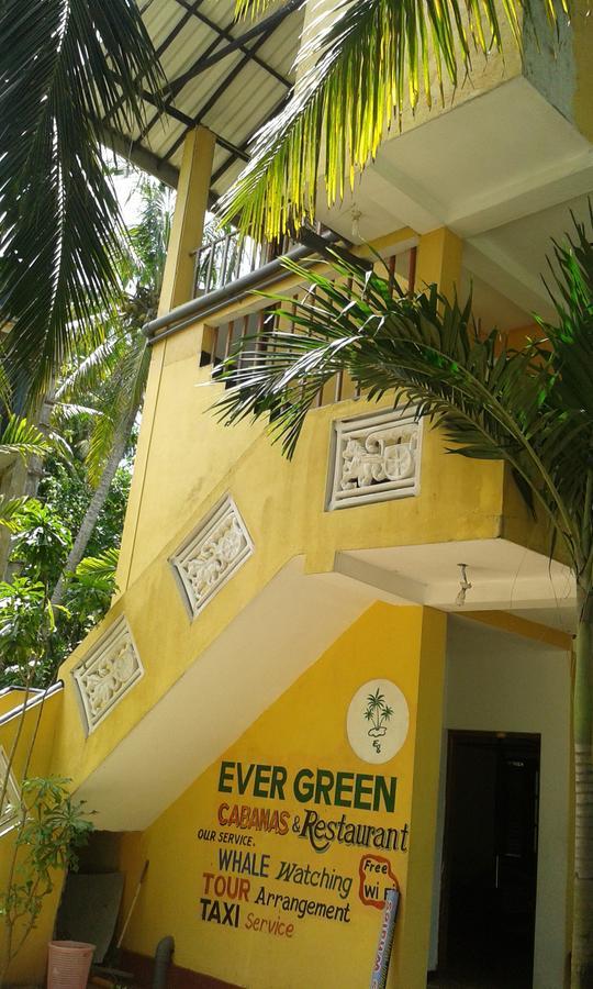 Ever Green มิริสซา ห้อง รูปภาพ